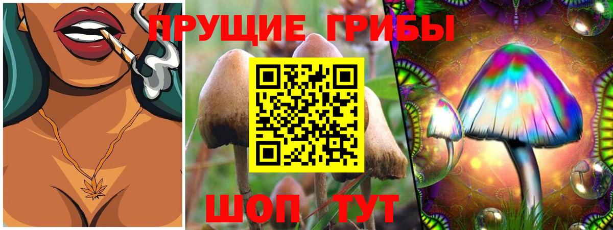 Галлюциногенные грибы Psilocybine cubensis  Вход с VPN  Сатка 